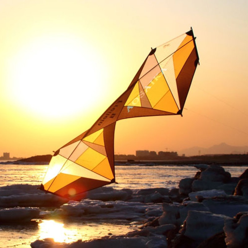 240*/80cm Diamond Eye Four-Line Stunt Windrider Kite PC31 Nylon