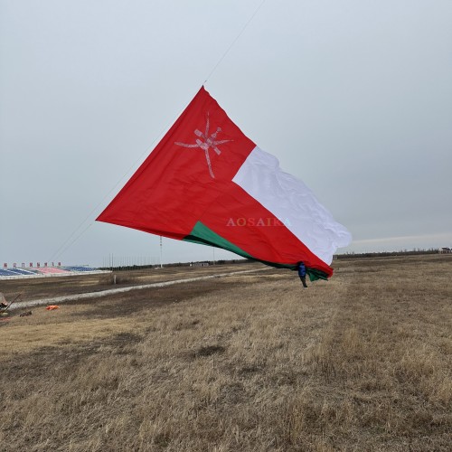 8.5*14m National flag kite 40d ripstop nylon Adults High Quality Colorful Show Kite