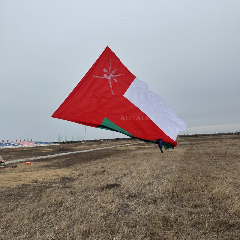 8.5*14m National flag kite 40d ripstop nylon Adults High Quality Colorful Show Kite 