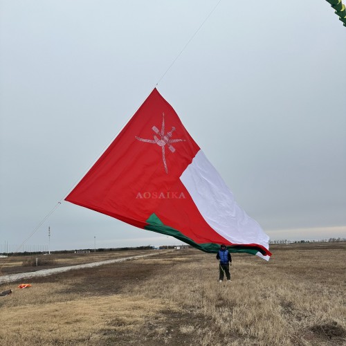 8.5*14m National flag kite 40d ripstop nylon Adults High Quality Colorful Show Kite