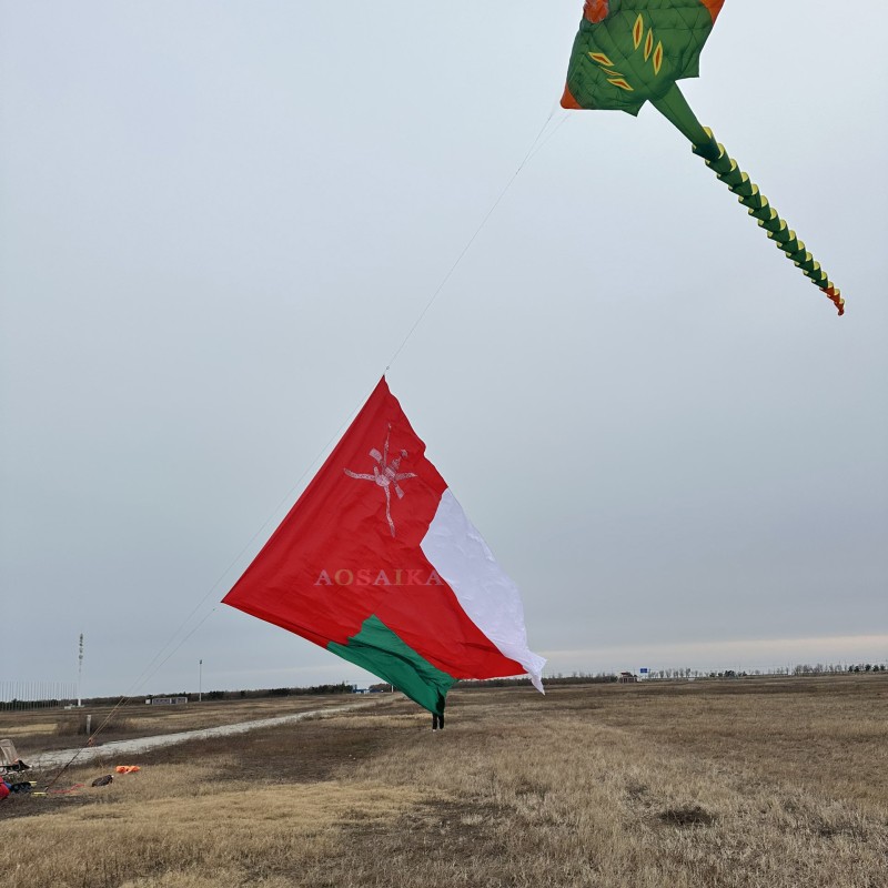 8.5*14m National flag kite 40d ripstop nylon Adults High Quality Colorful Show Kite 