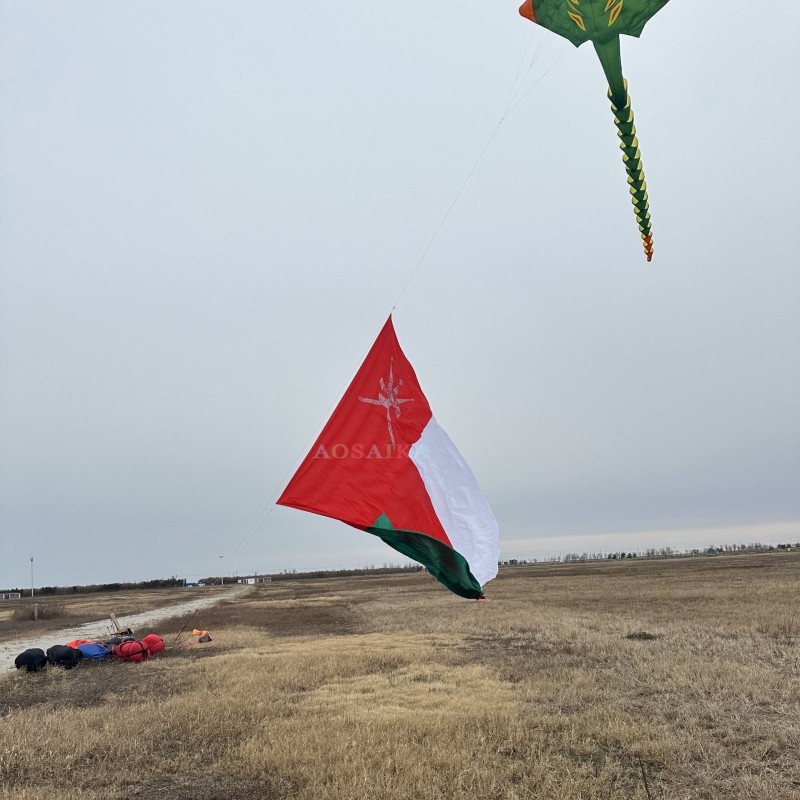 8.5*14m National flag kite 40d ripstop nylon Adults High Quality Colorful Show Kite 