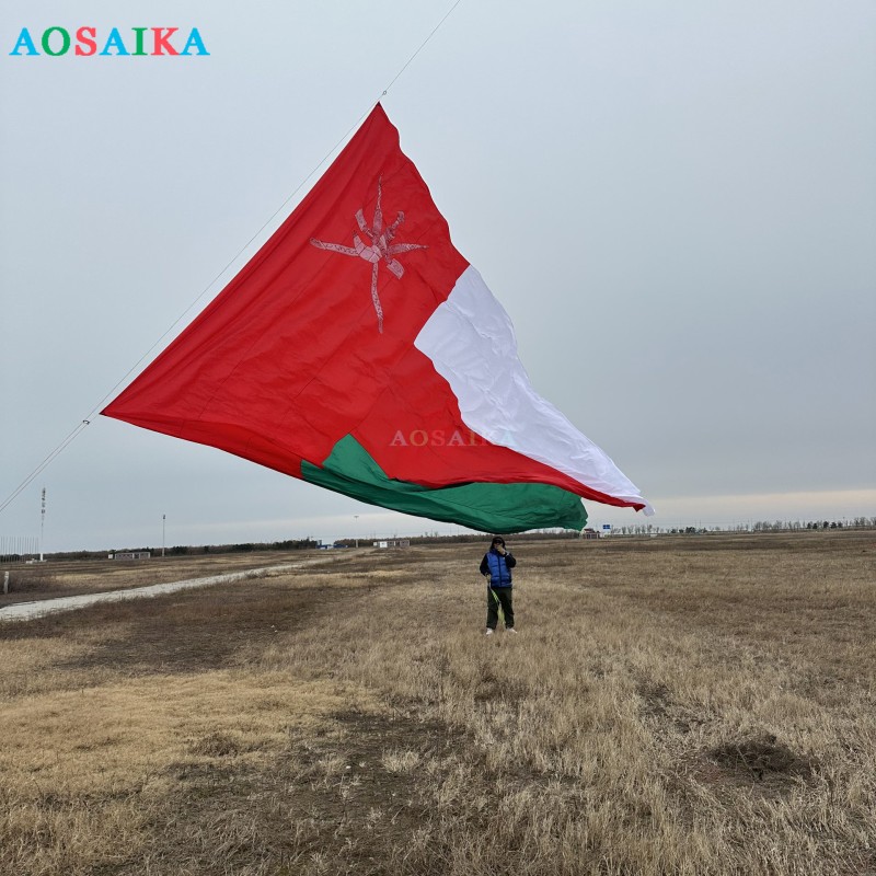 8.5*14m National flag kite 40d ripstop nylon Adults High Quality Colorful Show Kite
