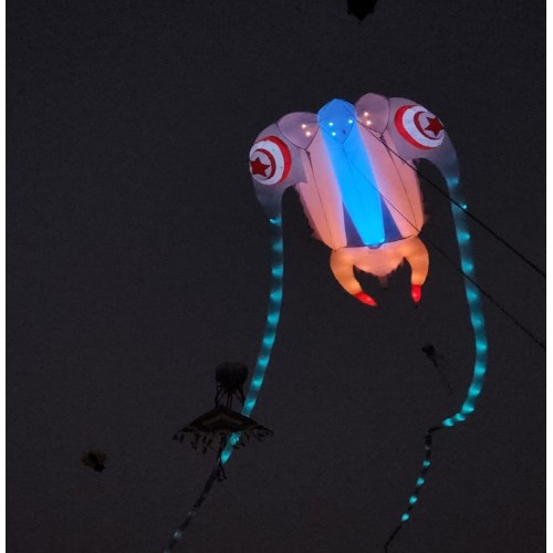 16sq.m luminous trilobed kite 40d ripstop nylon 16sq.m luminous trilobed kite 40d ripstop nylon