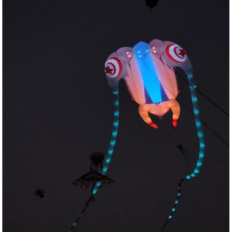 16sq.m luminous trilobed kite 40d ripstop nylon 