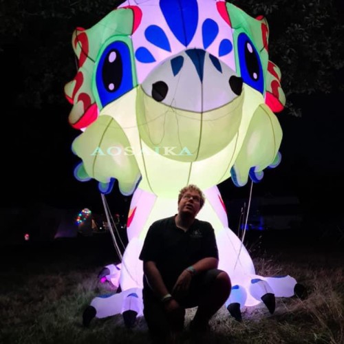 5m LED Dragon Kite Pendant 40d Ripstop Nylon For Adults High Quality Colorful Animal Show Kites