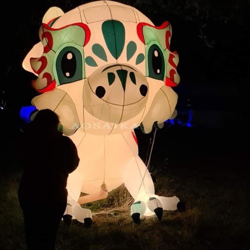 5m LED Dragon Kite Pendant 40d Ripstop Nylon For Adults High Quality Colorful Animal Show Kites