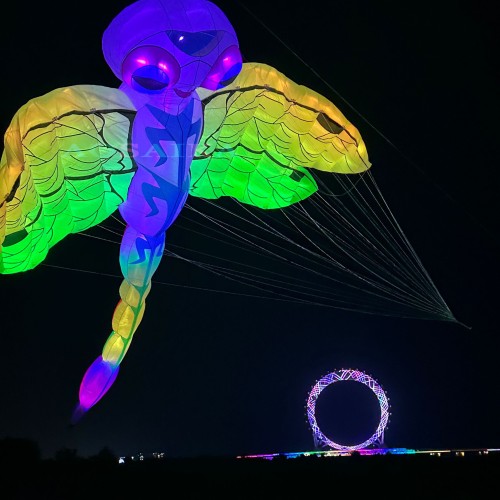 9M/22M Nightlight Dragonfly Kite Pendant 40d Ripstop Nylon For Adults High Quality Colorful Animal Show Kite