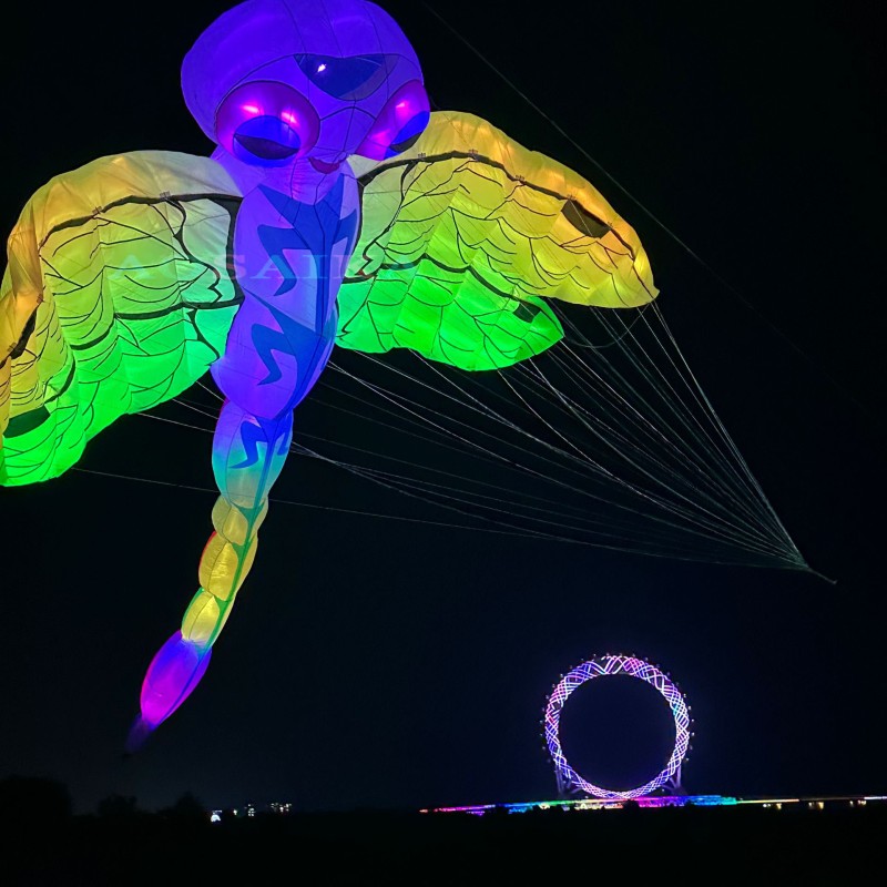 9M/22M Nightlight Dragonfly Kite Pendant 40d Ripstop Nylon For Adults High Quality Colorful Animal Show Kite 