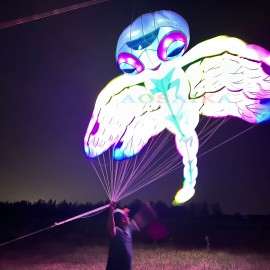 9M/22M Nightlight Dragonfly Kite Pendant 40d Ripstop Nylon For Adults High Quality Colorful Animal Show Kite 