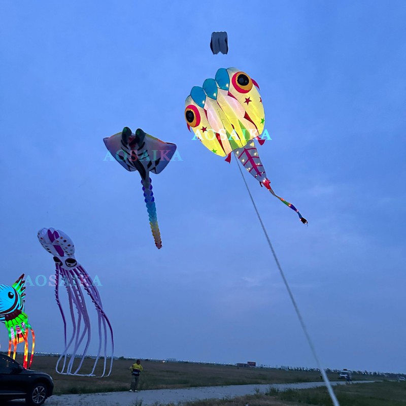 13sqm LED Tadpole Kite 40d Nylon Ripstop For Adults High Quality Colorful Animal Show Kites 
