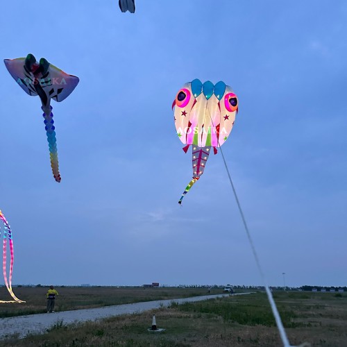 13sqm LED Tadpole Kite 40d Nylon Ripstop For Adults High Quality Colorful Animal Show Kites