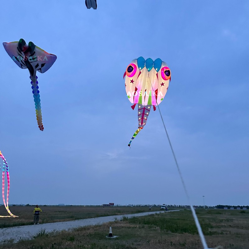 13sqm LED Tadpole Kite 40d Nylon Ripstop For Adults High Quality Colorful Animal Show Kites 