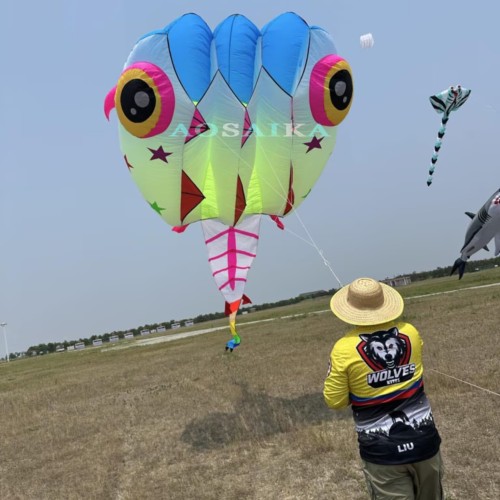 13sqm LED Tadpole Kite 40d Nylon Ripstop For Adults High Quality Colorful Animal Show Kites