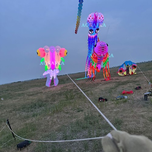 9M Led goldfish kite pendant 40d ripstop nylon