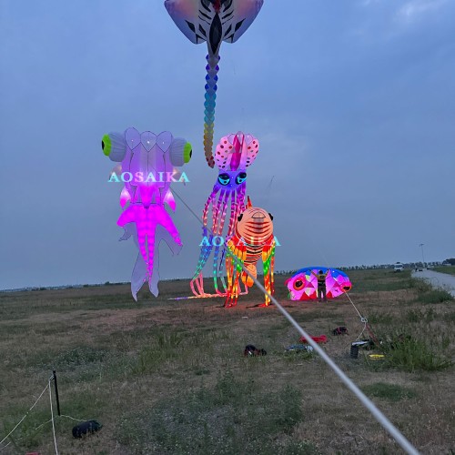 9M Led goldfish kite pendant 40d ripstop nylon