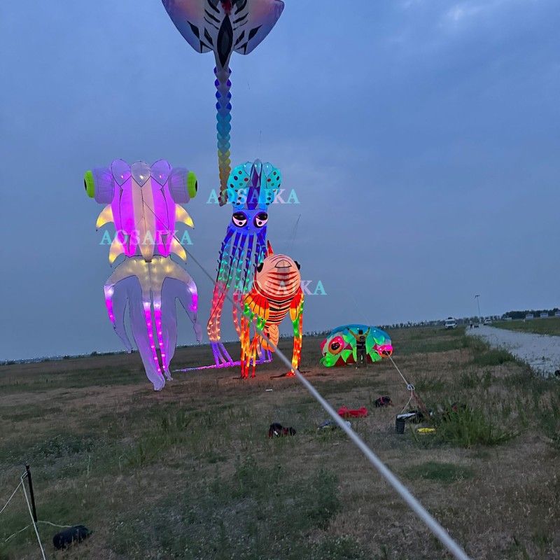 9M Led goldfish kite pendant 40d ripstop nylon 