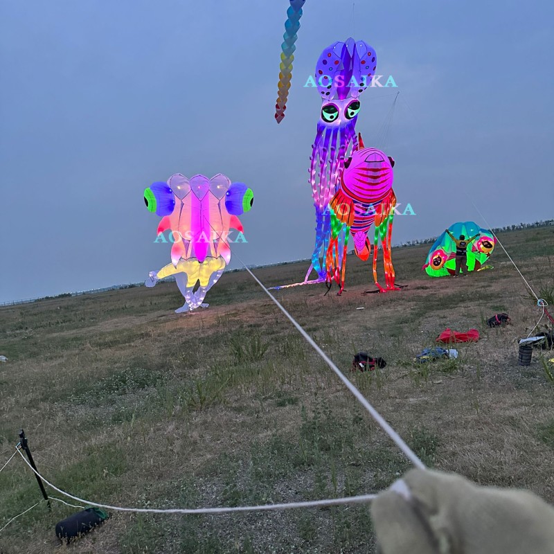 9M Led goldfish kite pendant 40d ripstop nylon 