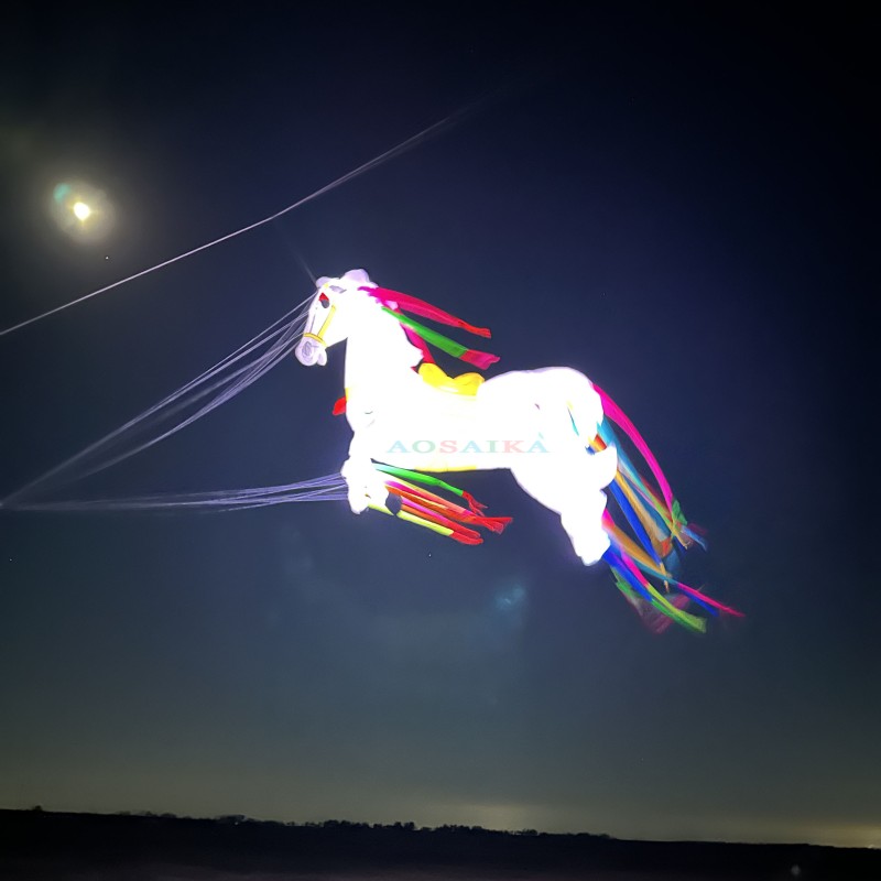 5M LED Horse Kite Pendant 40d Ripstop Nylon For Adults High Quality Colorful Animal Show Kites 