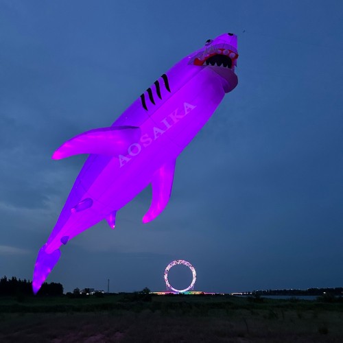 New Arrival Soft Inflatable 18M18M LED Shark Kite Pendant 40d Ripstop Nylon For Adults High Quality Colorful Animal Show Kites New Arrival Soft Inflatable 18M18M LED Shark Kite Pendant 40d Ripstop Nylon For Adults High Quality Colorful Animal Show Kites