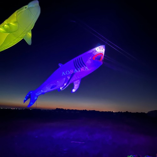 6M LED Shark Kite Pendant 40d Ripstop Nylon For Adults High Quality Colorful Animal Show Kites