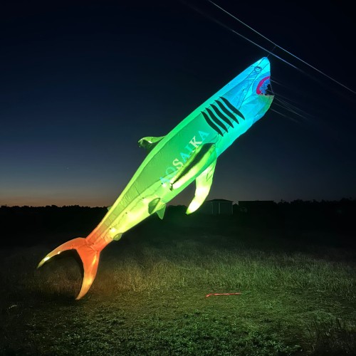 6M LED Shark Kite Pendant 40d Ripstop Nylon For Adults High Quality Colorful Animal Show Kites