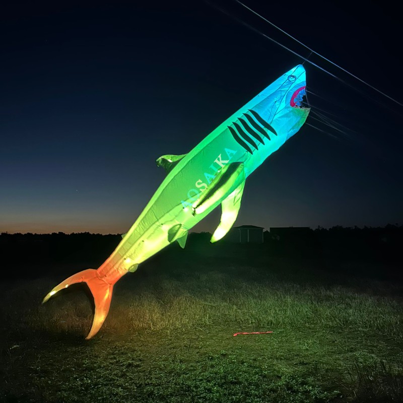 6M LED Shark Kite Pendant 40d Ripstop Nylon For Adults High Quality Colorful Animal Show Kites 