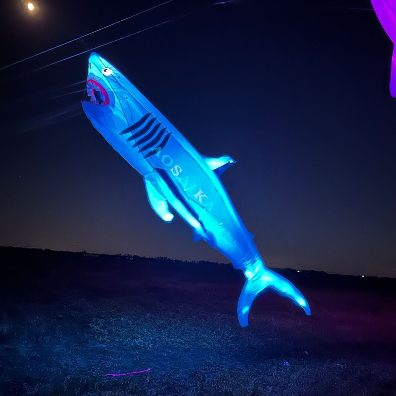 6M LED Shark Kite Pendant 40d Ripstop Nylon For Adults High Quality Colorful Animal Show Kites 