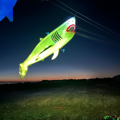 6M LED Shark Kite Pendant 40d Ripstop Nylon For Adults High Quality Colorful Animal Show Kites