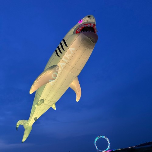 New Arrival Soft Inflatable 18M18M LED Shark Kite Pendant 40d Ripstop Nylon For Adults High Quality Colorful Animal Show Kites New Arrival Soft Inflatable 18M18M LED Shark Kite Pendant 40d Ripstop Nylon For Adults High Quality Colorful Animal Show Kites