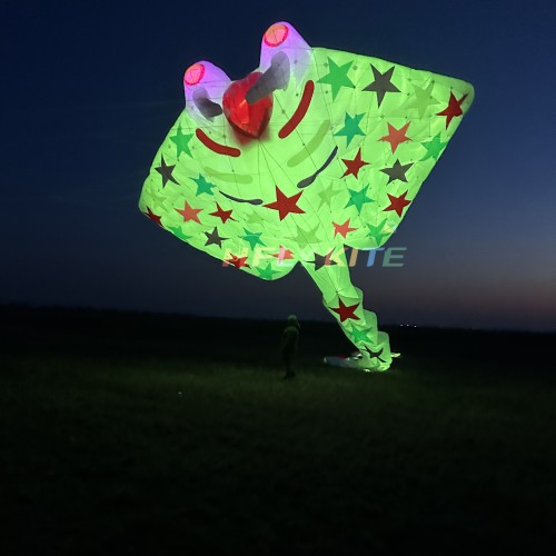 21M night-lighted stingray kite pendant 40d ripstop nylon