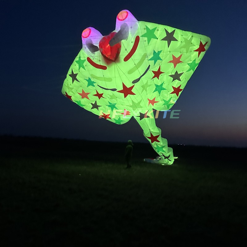 21M night-lighted stingray kite pendant 40d ripstop nylon 