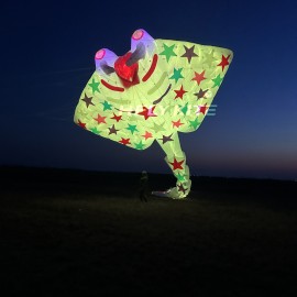 21M night-lighted stingray kite pendant 40d ripstop nylon 