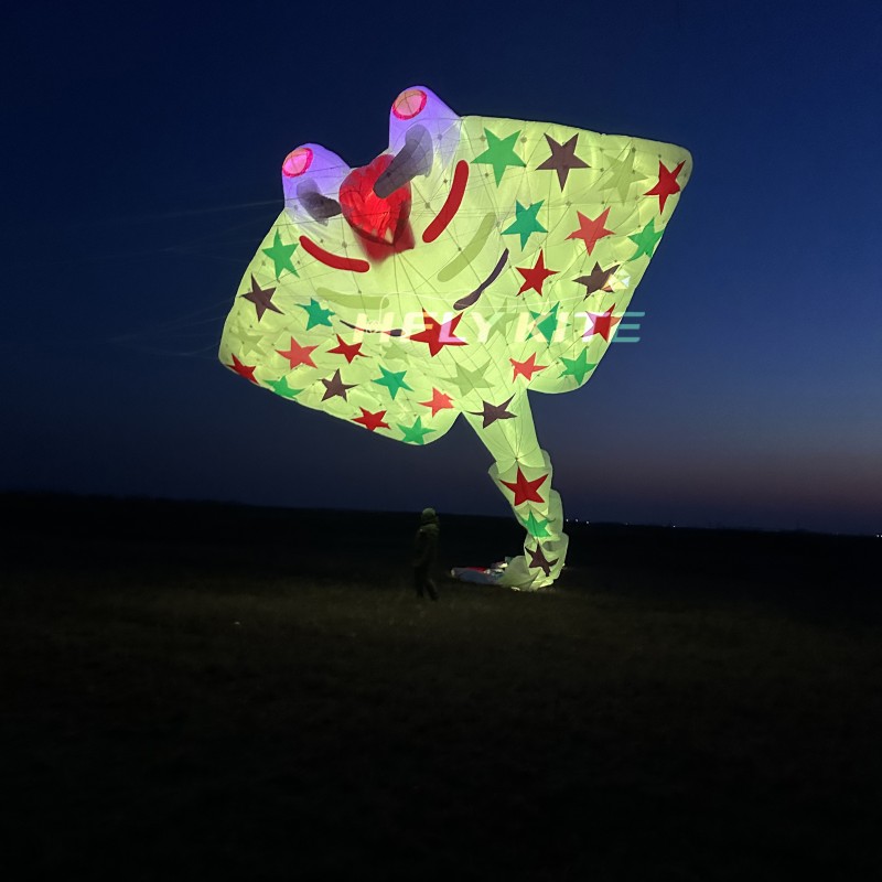 21M night-lighted stingray kite pendant 40d ripstop nylon 