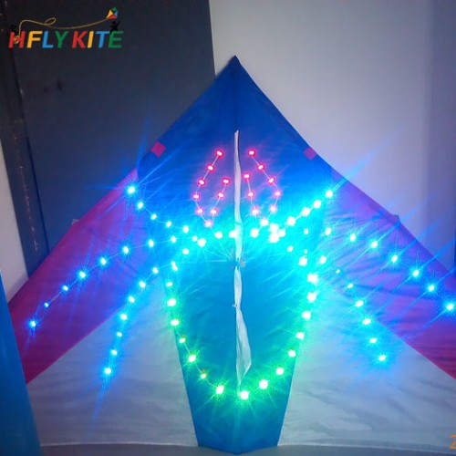 3sq.m luminous spider kite