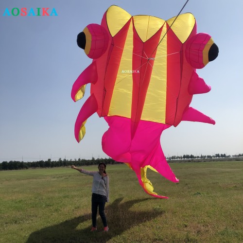 3*11m goldfish kite pendant 40d Ripstop Nylon For Adults High Quality ColorfulShow Kite