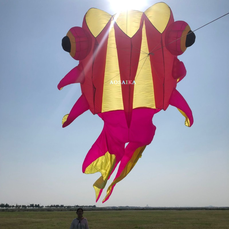 3*11m goldfish kite pendant 40d Ripstop Nylon For Adults High Quality ColorfulShow Kite 