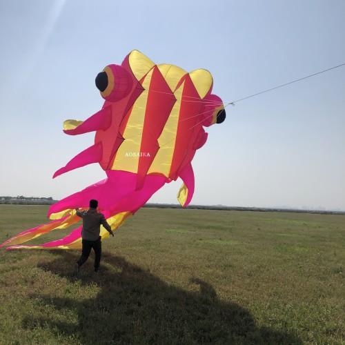 3*11m goldfish kite pendant 40d Ripstop Nylon For Adults High Quality ColorfulShow Kite