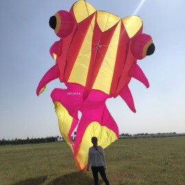 3*11m goldfish kite pendant 40d Ripstop Nylon For Adults High Quality ColorfulShow Kite 