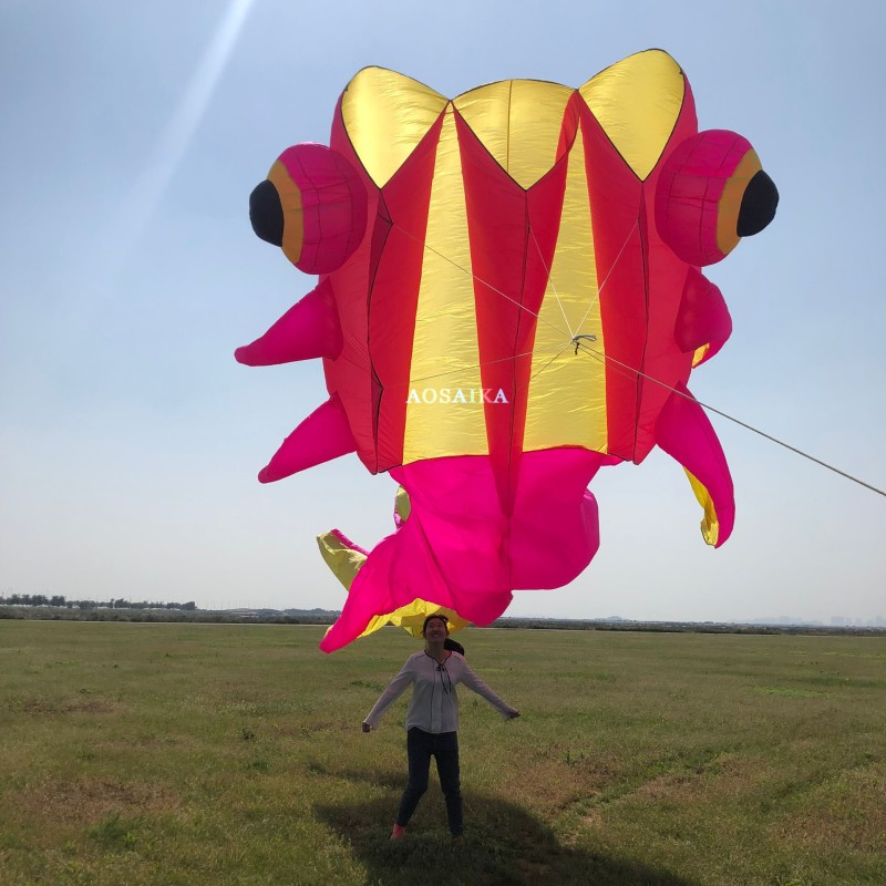 3*11m goldfish kite pendant 40d Ripstop Nylon For Adults High Quality ColorfulShow Kite 