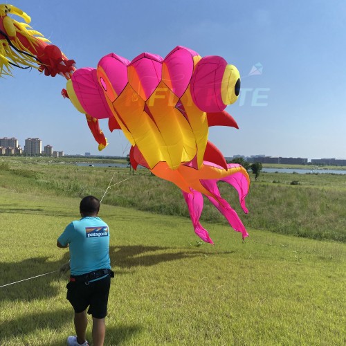 9M goldfish kite pendant 40d ripstop nylon