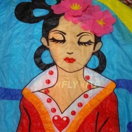3*11m Chang'e kite Polyester cloth Adults High Quality Colorful Show Kite 
