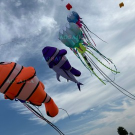 3.2m clownfish kite pendant 40d Ripstop Nylon 