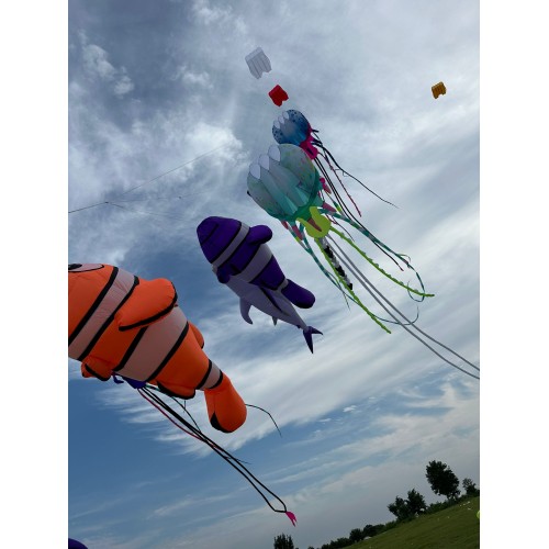 3.2m clownfish kite pendant 40d Ripstop Nylon 3.2m clownfish kite pendant 40d Ripstop Nylon