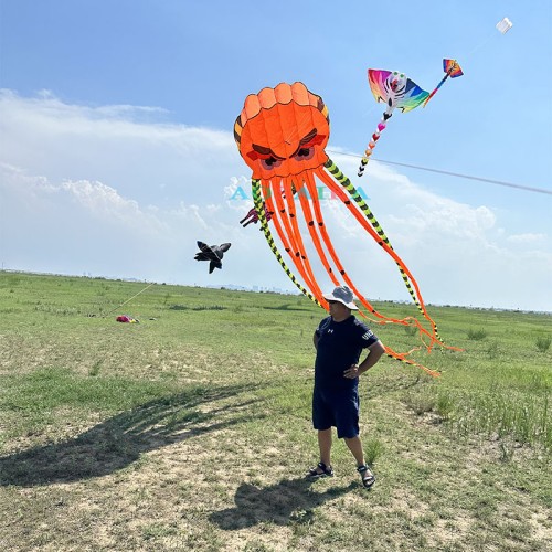 New Arrival Soft Inflatable 8M Demon Octopus  Kite Pendant Polyester cloth Adults High Quality Colorful Animal Show Kites