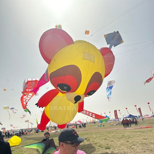 New Arrival Soft Inflatable 12M Raccoon Kite Pendant 40d Ripstop Nylon For Adults High Quality Colorful Animal Show Kites