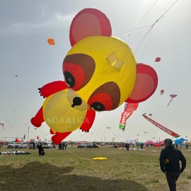 New Arrival Soft Inflatable 12M Raccoon Kite Pendant 40d Ripstop Nylon For Adults High Quality Colorful Animal Show Kites 