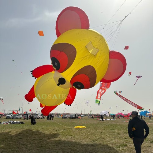 New Arrival Soft Inflatable 12M Raccoon Kite Pendant 40d Ripstop Nylon For Adults High Quality Colorful Animal Show Kites