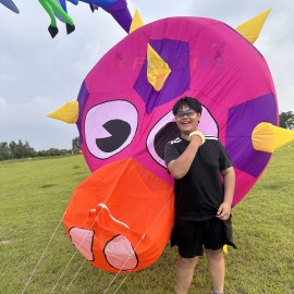 2.5M piglet thorn ball landscape kite 40d ripstop nylon 