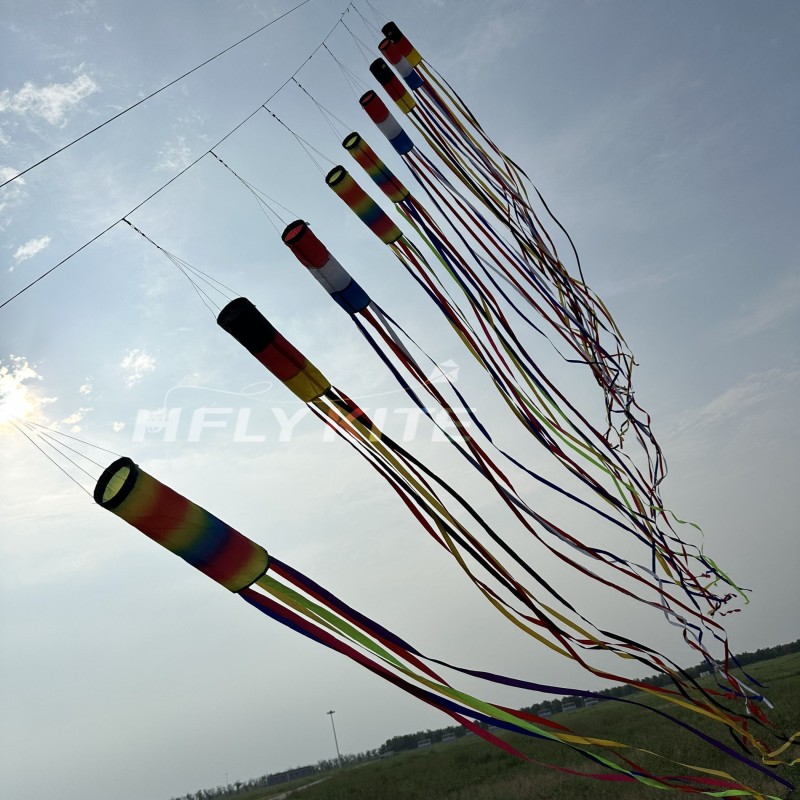 6/12/22m kite long tails 